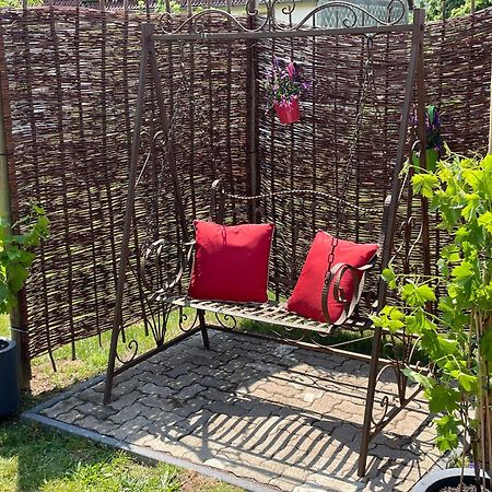 Ferienhaus Bellavita - Mit Grossem Eingezaeuntem Garten - Infrarotsauna - 3 Hunde Willkommen - Badesee 800M Entfernt Walkenried Exterior foto